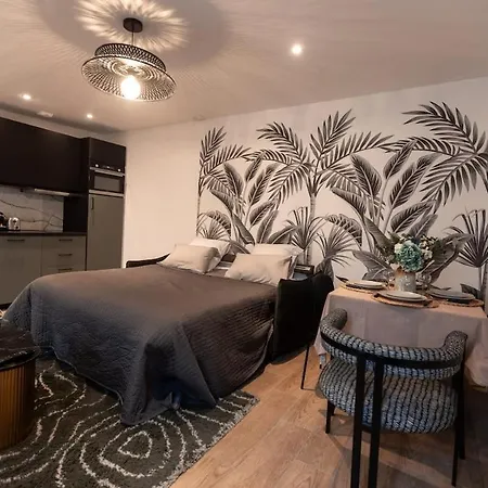 Apartment Rez De Chausse Dans Rue Pavee 4 Pers Nation *